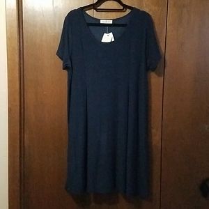 NWT Pink Rose Navy Dress 1X